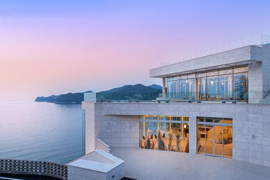 모이핀 사진 2