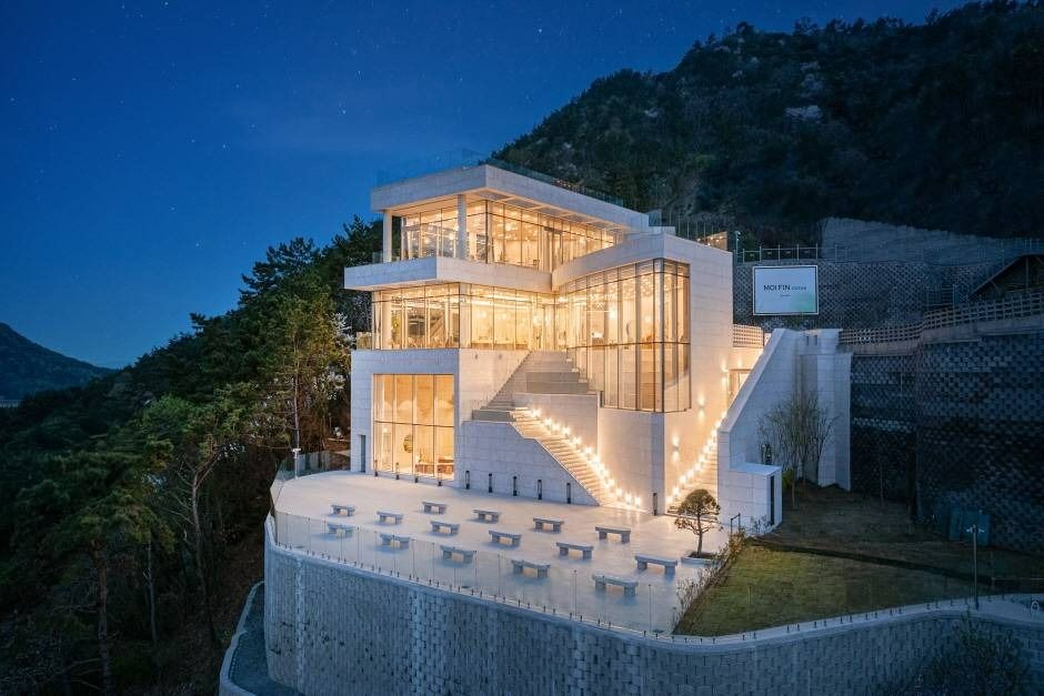 모이핀 사진 1