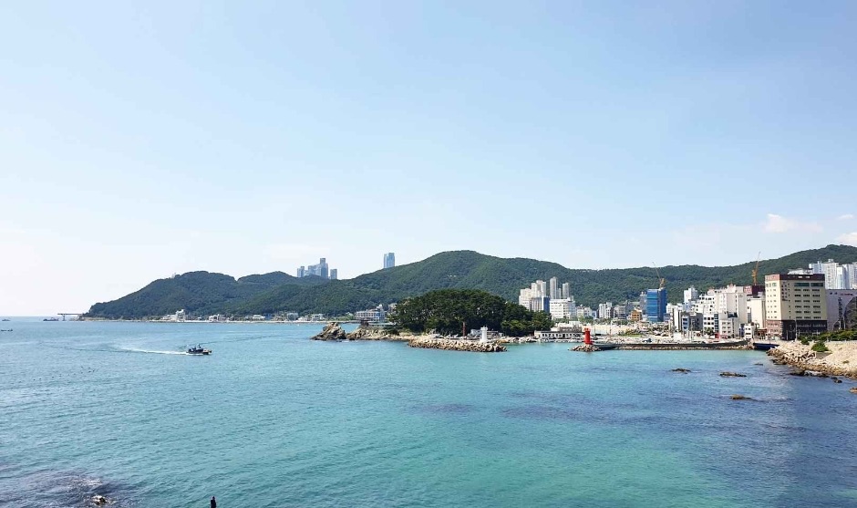 카페 윤 사진 1